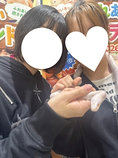 打蝶 はなび