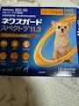 chiko