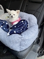 chiko