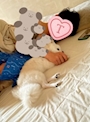 chiko