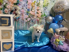 プロフィール写真1・ゆうこママ❤️ココ｜北名古屋 スナック・パルフェ