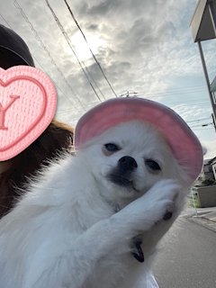 プロフィール写真7・ゆうこママ❤️ココ｜北名古屋 スナック・パルフェ