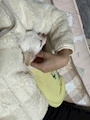 新着ブログ 10/9③