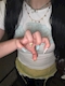 プロフィール写真3・かなう｜&you・アンドユー - 船橋のガールズバー