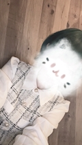 ゆあ