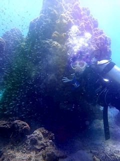 プロフィール写真3・🐙あゆみ👾Aclub石垣🪼|Aclub ishigaki・エークラブ イシガキ - 石垣島のキャバクラ
