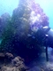 プロフィール写真3・🐙あゆみ👾Aclub石垣🪼|Aclub ishigaki・エークラブ イシガキ - 石垣島のキャバクラ