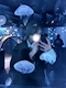 プロフィール写真3・くえん|祇園 2LDK・ニーエルディーケー - 祇園のガールズバー