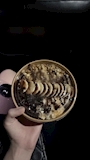 新着ブログ ポニーテールゅ