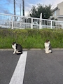 新着ブログ お休みです!