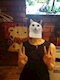 プロフィール写真1・片山ゆか｜和風すなっく のんのか - 長崎市・思案橋のスナック