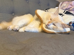 ゆうな