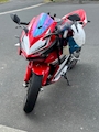 club Adder