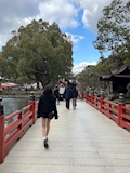 かりん