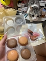 chiko