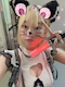 プロフィール写真1・ゆうき｜CREA・クレア - 名古屋 錦のコンカフェ