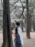 れい