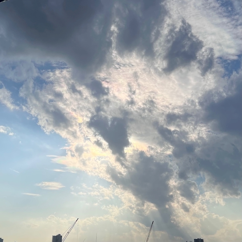 清水れな