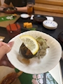 新着ブログ こんばんは🦖