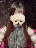 さえ