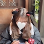 ふうか