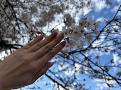 プロフィール写真3・花恋|New Candy More・ニューキャンディモア - 和光市のクラブ/ラウンジ