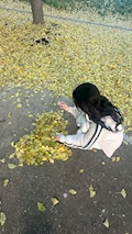 おと