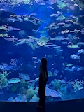 らむ