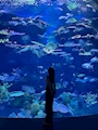 らむ