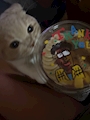 chiko