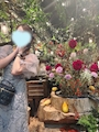 新着ブログ 素敵なカフェ💐💐💐