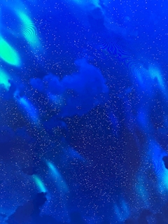 つきの