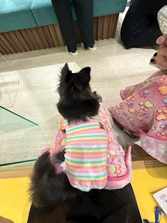 える 心斎橋学園 3年2組