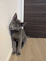 れな