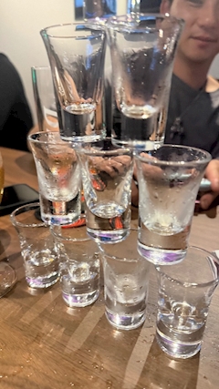 しおん