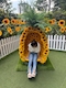 プロフィール写真1・ひまわり🌻*.|SHAKE・シェイク - 名古屋 緑区のガールズバー