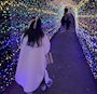まこ