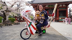 ありさ代表