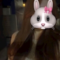 みみ
