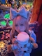 プロフィール写真1・にこ|girls bar smart・スマート - 吉祥寺のガールズバー