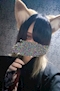 プロフィール写真5・あびす｜海賊王に推しがなるっ!!!!・カイゾクオウニオシガナルッ - 大宮/南銀のコンカフェ