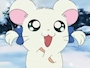 chiko