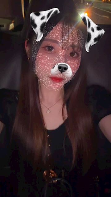 プロフィール動画