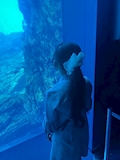 れあ
