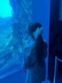 れあ