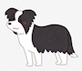 新着ブログ 🐶