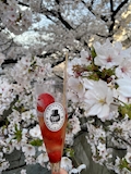 あいり