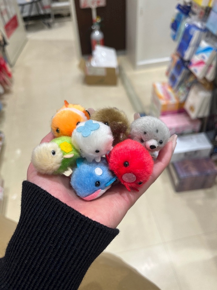 ののか姫
