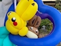 新着ブログ ポケモンGET
