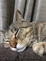 新着ブログ お休みいただいてます🙏